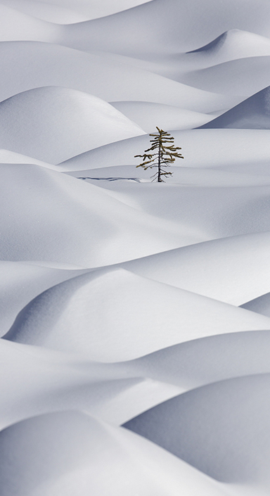 9888拉斯维加斯(中国集团)官方网站